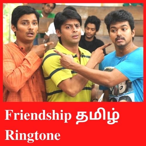 Friendhip_cat_pic33