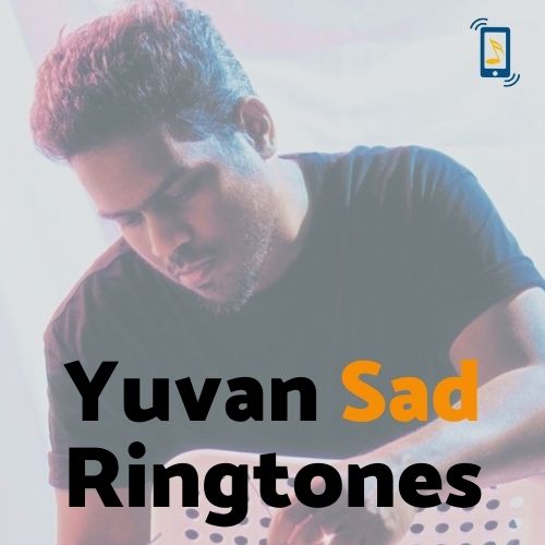 Yuvan_sad_cat_pic1